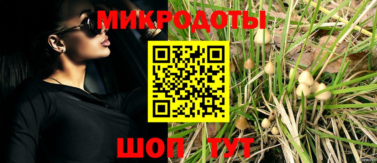 Псилоцибиновые грибы Cubensis  Вход с VPN  Анжеро-Судженск 